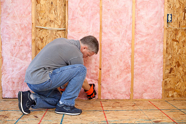 Best Insulation Maintenance and Repair in Lake Como, NJ